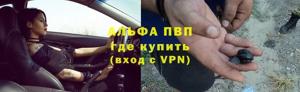наркотики Бородино