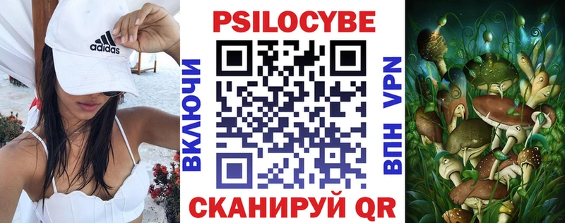 Купить  Боровск  Псилоцибиновые грибы Magic Shrooms 